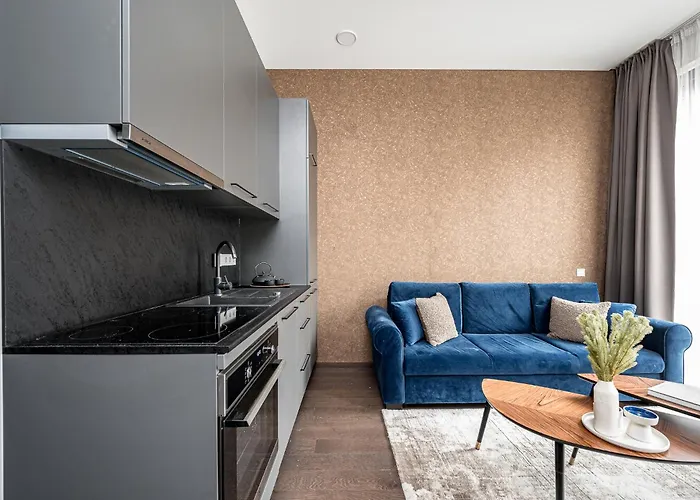 Old Town Renessaince 5 * Vilnius