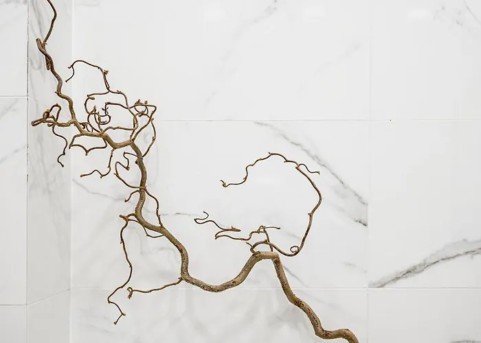 Apartament Old Town Renessaince 5 *